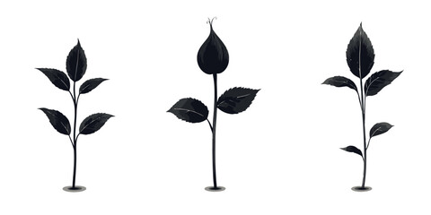 Collection of seed germination shadows illustrating plant growth stages in a simple vector style