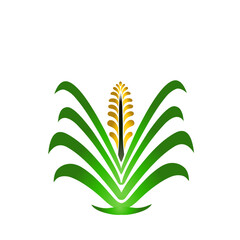 Stylized wheat illustration showcasing agriculture and sustainable development