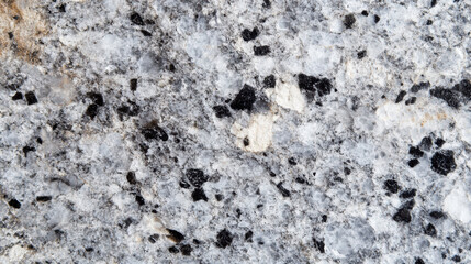 Fototapeta premium Detailed Grey Granite Close-up