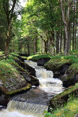 Künstlicher Kanal vom Windgfällweiher zum Schluchsee im Schwarzwald
