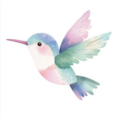 Obraz premium Hummingbird