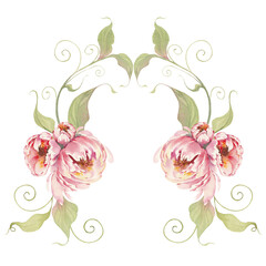 Vintage Baroque Victorian floral ornament. Botanical decorative design element. Watercolor isolated peony flowers.