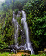 Multi-tiered waterfall amidst vibrant green foliage, with rushing water in Meghalaya. 