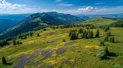Fototapeta premium Lush green mountainside dotted with wildflowers, trees, and distant peaks under a blue sky with scattered clouds.
