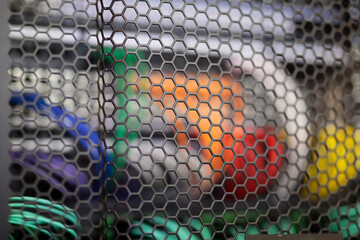 mesh safety door of network cabinet close up