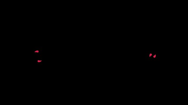 Animation video. 