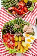 Nicoise salad with vegetables, tuna, eggs and anchovies .style hugge