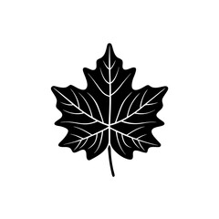 Naklejka premium creative and simple minimal details Outline Maple leaf icon vector 