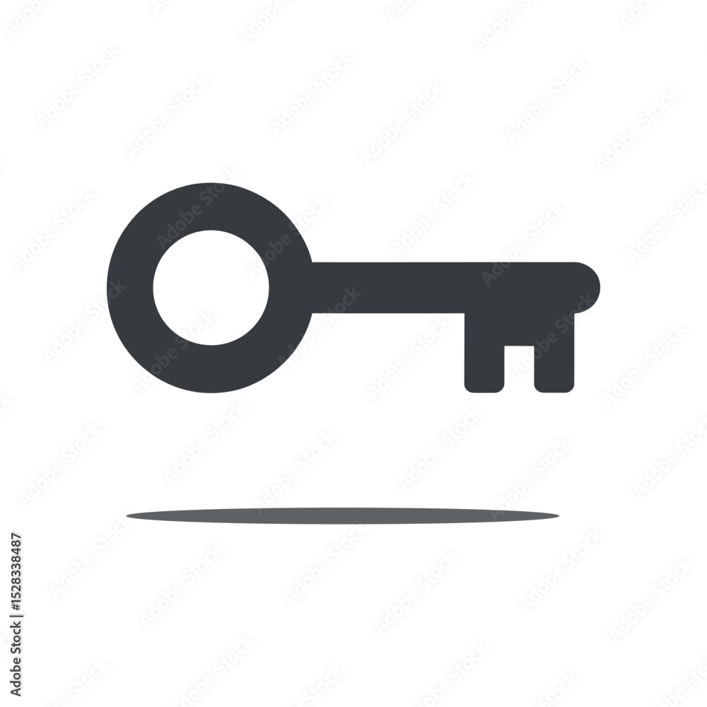 Poster isolated dark gray key with shadow on a white background symbolizing security access and solutions f