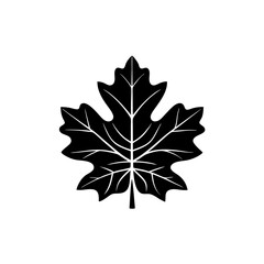 creative and simple minimal details Outline Maple leaf icon vector 