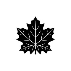 creative and simple minimal details Outline Maple leaf icon vector 