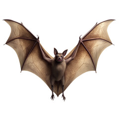 Flying Bat Full Body PNG Silhouette Isolated on Transparent Background