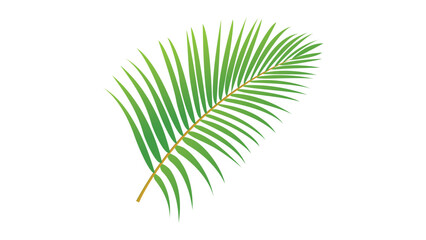 Tropical green vector palm tree leaf