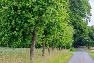 Sommer in den Baumbergen