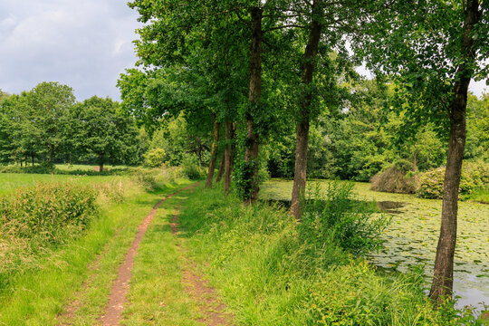 Sommer in den Baumbergen