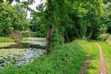 Sommer in den Baumbergen