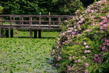 Sommer in den Baumbergen
