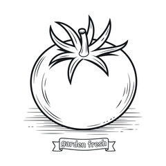 Hand Drawn Tomato Illustration with Garden Fresh Banner Perfect for Coloring Books Recipe Cards and Farm to Table Designs
