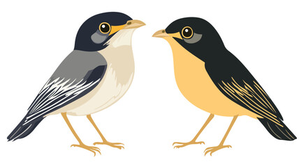 Obraz premium Vibrant Cute Myna Bird Vector Illustration Isolated on White Background