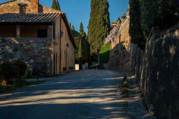 Sunlit Village Street with Shadows