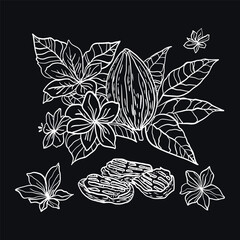 A hand-drawn sketch of cocoa beans in black ink, a design in the style of sketches, made in the style of ancient doodles, engraved with a pen on wrapping paper. Close-up view.