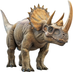 Fototapeta premium A triceratops dinosaur illustration against a black background.