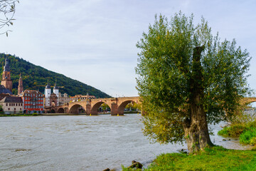 Old Stone Bridge, in Heidelberg