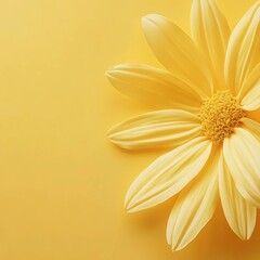 Obraz premium Beautiful Yellow Daisy Flower with Petals on a Soft Yellow Background, Perfect for Spring and Nature-Inspired Designs