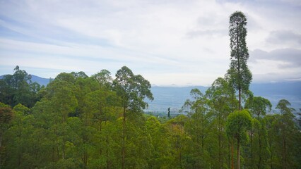 beautiful natural scenery of mountains, natural panorama of hills, with forests of tall green trees...