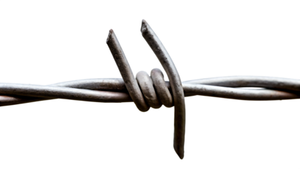 Barbed wire closeup isolated on a white background png ai generated