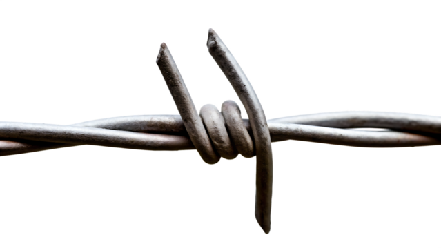 Barbed wire closeup isolated on a white background png ai generated - Powered by Adobe