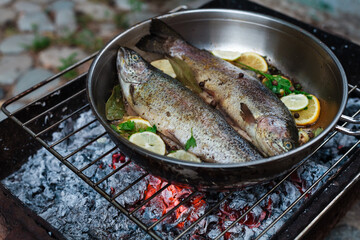 Person grilling vegetables, sausages, chicken, trout over charcoal in a backyard during summer. Outdoor cooking with real flames and smoke in a cozy home setting