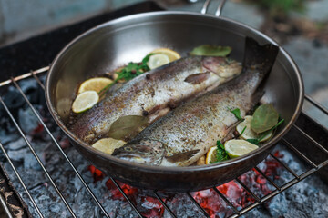 Person grilling vegetables, sausages, chicken, trout over charcoal in a backyard during summer. Outdoor cooking with real flames and smoke in a cozy home setting