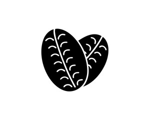 creative details Outline silhouette Coffee Bean icon vector