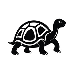 vector illustration of turtle