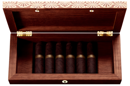 Premium cigars in wooden box isolated on a white background