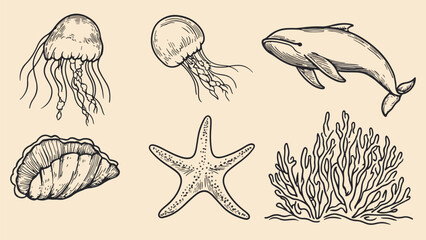 Hand Drawn Sea Life Vector Set Whale Jellyfish Starfish Shell Coral Reef Ocean Underwater Wildlife Marine Animals Nature Aquatic Illustration Vintage Engraving Style Design Element Isolated on Beige