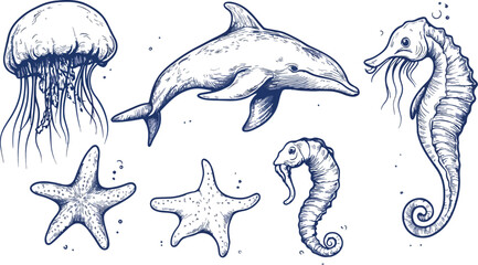 Hand-drawn vector set of marine life Dolphin jellyfish starfish and seahorse Underwater world ocean nautical illustration for logo emblem tattoo design element or any other purpose isolated on white