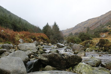 Serene Mountain Stream