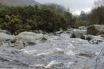 Gentle Stream Flowing