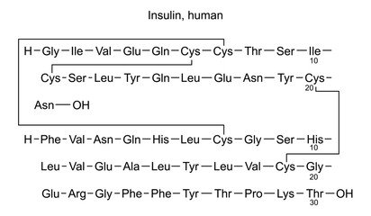 Chemical structure of insulin, human, drug substance