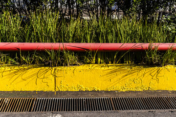 Small yellow wall, a red pipe for water from a hydrant, green plants on a street in Brazil