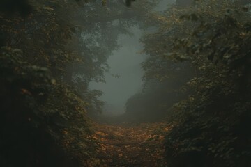 Narrow forest path enveloped by autumn foliage and gentle mist in a peaceful woodland setting