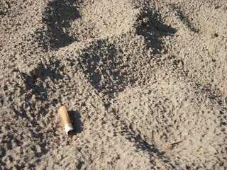 Discarded cigarette butt lying on sandy beach with textured surface under bright sunlight