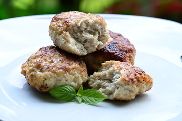 fried cutlets on a plate,