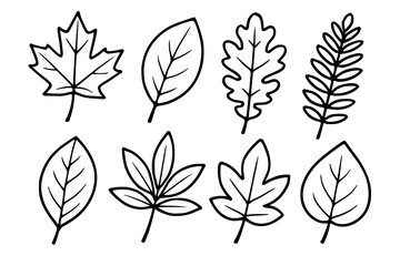 Fototapeta premium set of leaves, maple, beech, oak, fern, cherry, horse chestnut, sweetgum, aspen, illustration, tree, leaf, shaped, vector