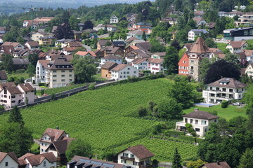 Vaduz cityscapes in summer