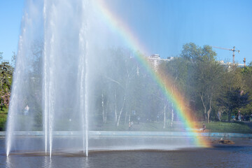 Sunny day rainbow on the lake in the park