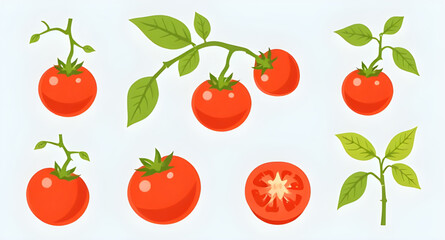 Tomato set vector, Tomatoes illustration, Red tomato, Ripe tomatoes, Fresh tomato set, Tomato collection, Tomato clipart, Whole tomato vector, Sliced tomato, Tomato halves, Tomato pieces, Cherry tomat