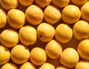 Apricots still life photograph